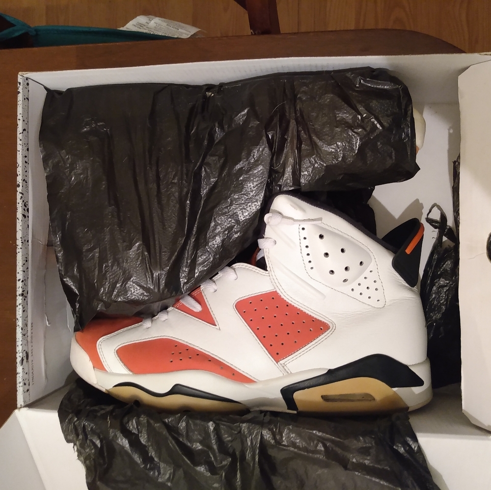 Air Jordan 6 Gatorade 10.5